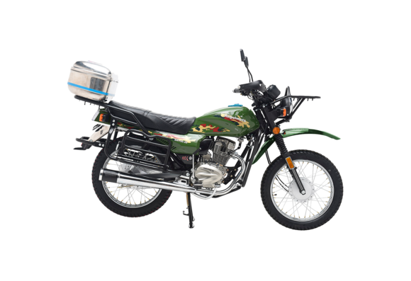 Мотоцикл Regulmoto SK150-22 зеленый pitbikemarket.ru