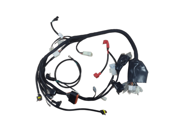 Жгут проводки EFI (инжектор COEUS) для 172FMM (PR / CB) pitbikemarket.ru